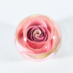 Pink rose resin ornament with a round clear dome