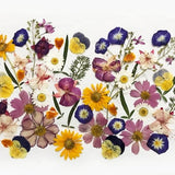 50+ Pcs Mixed Pressed Flowers - Edible Flowers for Cake Decorations, Crafts, Flower Arts - DF50-1