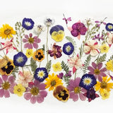 50+ Mixed Pressed Flowers - Edible Flowers  for Cake Decorations,  Crafts, Flower Arts - DF 050-8