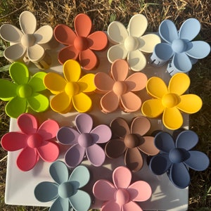 Colorful flower claw hair clips, assorted petal designs with comb-like grip.