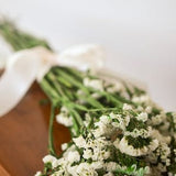Ivory statice bunch |cream preserved statice | cream wedding | white dried flowers