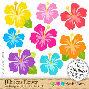 Colorful hibiscus flower clipart set with 8 illustrated flowers, PNG files