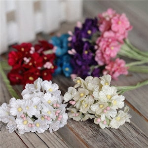 Miniature forget-me-not flower bunch, white and pale pink velvet blooms with green stems.