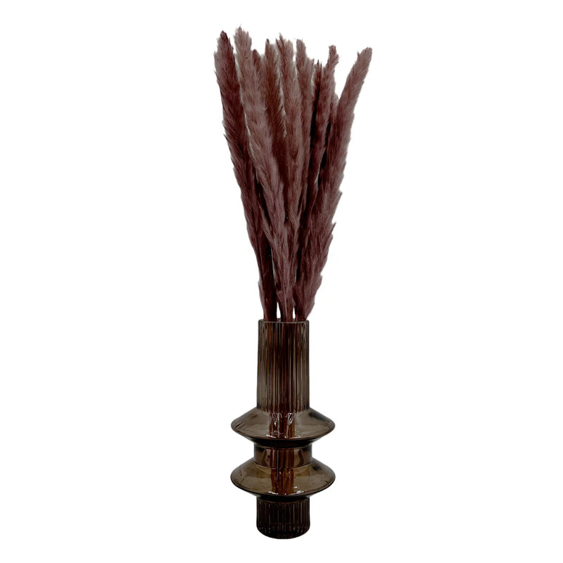 Bergamo Art Bundle of 4 Preserved Flowers Small Pampass Grass 20" long in Grey Pampas Grass