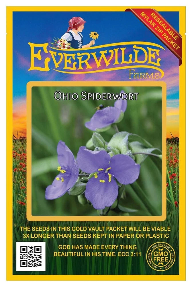 300 Ohio Spiderwort Wildflower Seeds - Everwilde Farms Mylar Seed Packet Flowering Plants