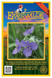300 Ohio Spiderwort Wildflower Seeds - Everwilde Farms Mylar Seed Packet Flowering Plants