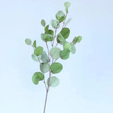 Eucalyptus Leaf Fake Plants Arrangement Accessories Customize Your Designs Green Plant