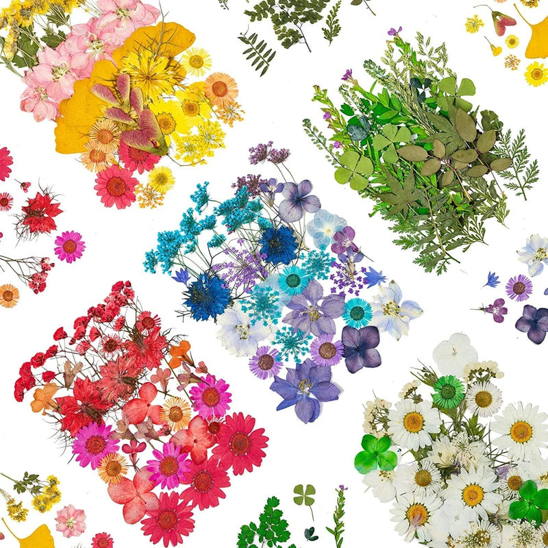 Dried Pressed Flowers, 170+ Pcs Mixed Dried Flowers For Resin, Bulk Na Dried Flower