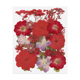 30 Pcs Dried Pressed Flower Leaves Bulk for Resin, Fragrant Series Red Pink Dried Flower