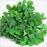 FENUGREEK, HERB SEED, HEIRLOOM,  100 SEEDS, NON GMO, SPICE, HERB GARDEN Garden Plants