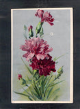 E2638 Greetings Flowers Carnations c1909 Silverette vintage postcard Carnation