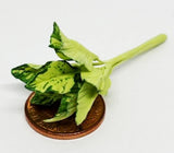 Dolls House Green Plant Single 1:12 Scale Garden Miniature Flower P18s tumdee Flowering Plants