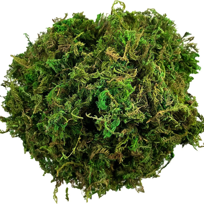 Artificial Moss Green for Potted Plant Orchid Potting Mix Peat Moss Pole Craft Green Plant