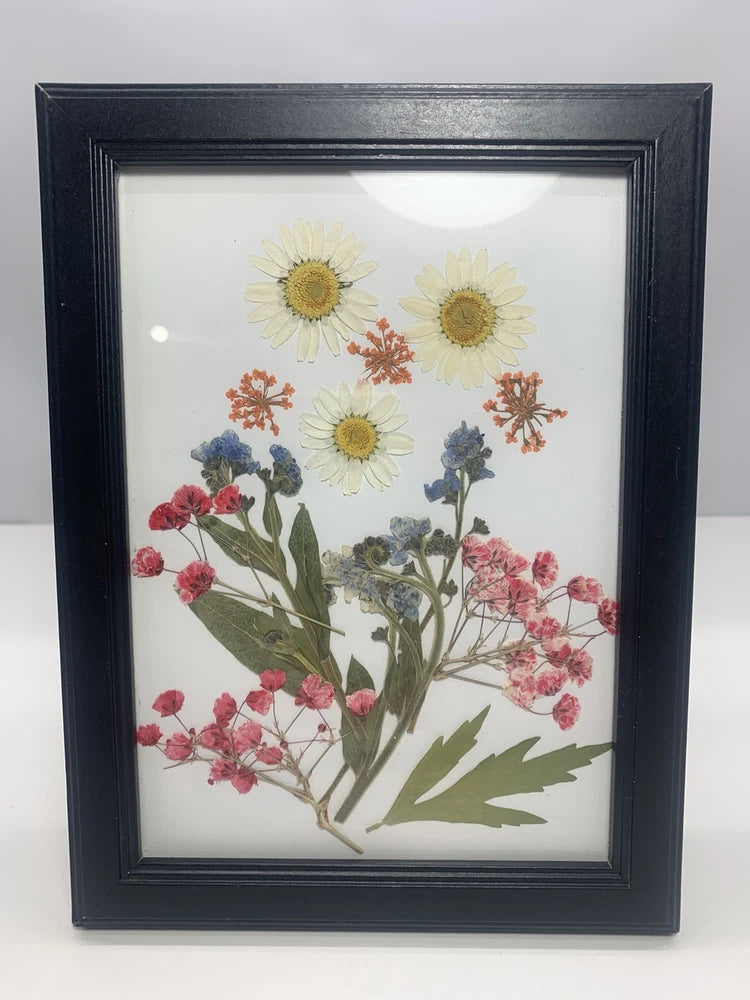 Black wood framed pressed flower bouquet, colorful dried blooms behind clear glass