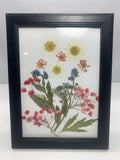 Pressed Flower Bouquet Black Wood Framed Colorful 5X7 Prairie Grandma Core Dried Flower