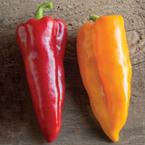 50+ CORNO DI TORO MIX SEEDS NON-GMO FRESH FOR YOUR GARDEN Garden Plants