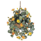 Nasturtium Hanging Basket Silk Plant Green Plant