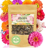 Zinnia Seeds Bulk 5,000+ | Outdoor Flower for Planting |Giant Zinnia Seeds Flowering Plants