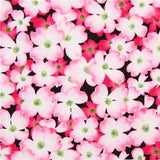 5 Yards NEW Pink Dogwood Floral 100% Cotton TIMELESS TREASURES FABRIC Flowering Plants