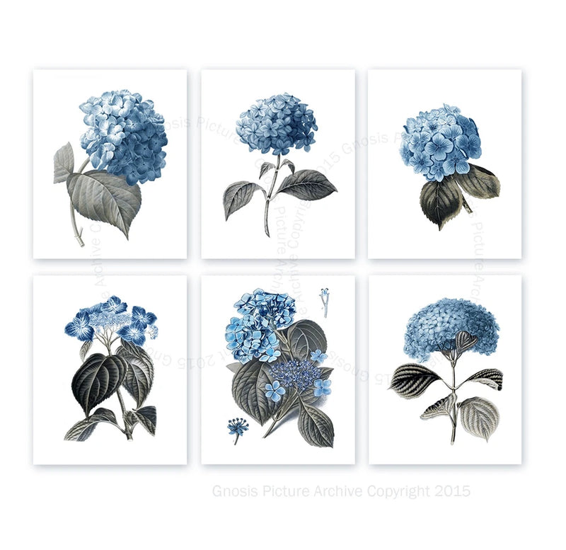 Blue Flowers Wall Art set of 6 Unframed Hydrangea Art Farmhouse Decor Hydrangea