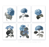 Blue Flowers Wall Art set of 6 Unframed Hydrangea Art Farmhouse Decor Hydrangea