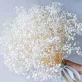 Dried Baby's Breath Flowers Bouquet - 3500+ Pure White Dry Dried Flower