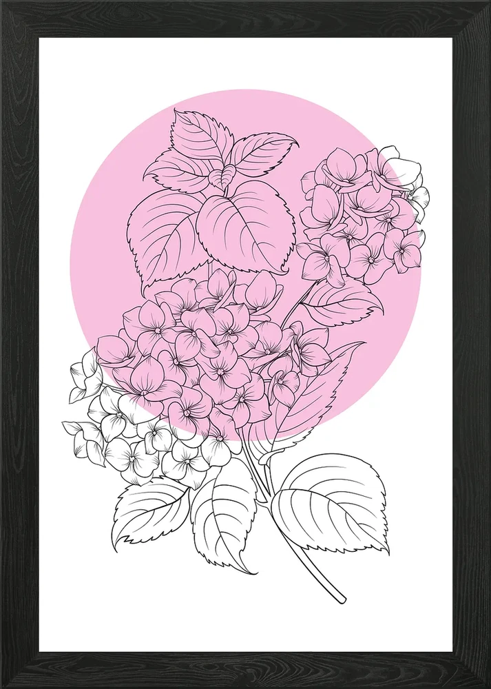 Hydrangea Line Art Flower Framed Wall Art Poster Canvas Print Picture Hydrangea