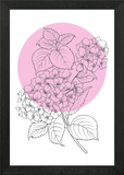 Hydrangea Line Art Flower Framed Wall Art Poster Canvas Print Picture Hydrangea