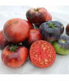 25 Blue Beauty Tomato Seeds Garden Plants