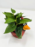 4.5" h Potted BABY CARDINAL Ruby Blob House Mini pot WITH faux Silk Pothos plant Green Plant