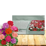 Mixed Geranium Seeds - 200 Pcs Heat & Drought Tolerant for Lush Summer Gardens Garden Plants
