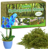 1.1 lb Premium Sphagnum Moss - Orchid Moss Plant Growing Medium for Terra Orchids