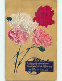 Divided-Back BEAUTIFUL CARNATION FLOWERS : make an offer o9015 Carnation