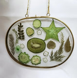 Kitchen decor gift.Wall Art Dried Pressed fruit  Flowers & vegetables 8.25x6.25 Dried Flower