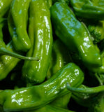 ITALIAN PEPPERONCINI PEPPER SEEDS 50+ garden VEGETABLE mild HEAT pickling Garden Plants
