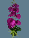 Artificial Phalaenopsis Orchid  flower arrangement DEEP PURPLE Flowering Plants