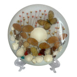 VTG  Resin Trivet Dried Flowers Butterfly Shells Leaves 6.5in Dried Flower