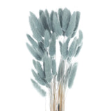 60pcs Natural Bunny Tails Dried Flowers 16" Mini Pampas Grass, Gray-blue Pampas Grass