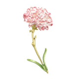 Exquisite Flower Brooch Pin Carnation Lapel Pin Collar Lapel Pin Jewelry Carnation