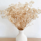 Dried Flowers Babys Breath Flowers Bouquet with Lights,17.2 inch Natural Ivor... Pampas Grass