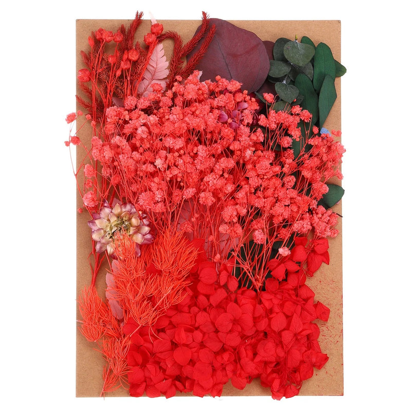 Pressed Flowers Bulk Dried Flowers Natural Pressed Flowers Leaves Red Series Dried Flower