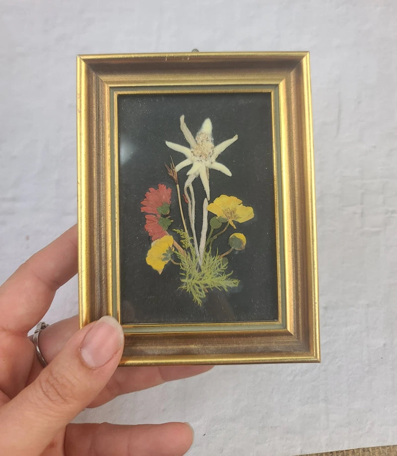 Miniature picture frame with gold border and dried flowers in black mat