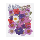 38 Pcs Dried Pressed Flower Leaves Bulk for Resin, Purple Colors Dried Flower