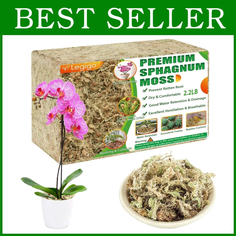 Natural Succulent & Carnivorous Plant Moss Orchids