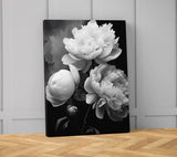 Monochrome Peony Flower Black & White Peonies Wall Art Canvas Unframed Print Art Peony
