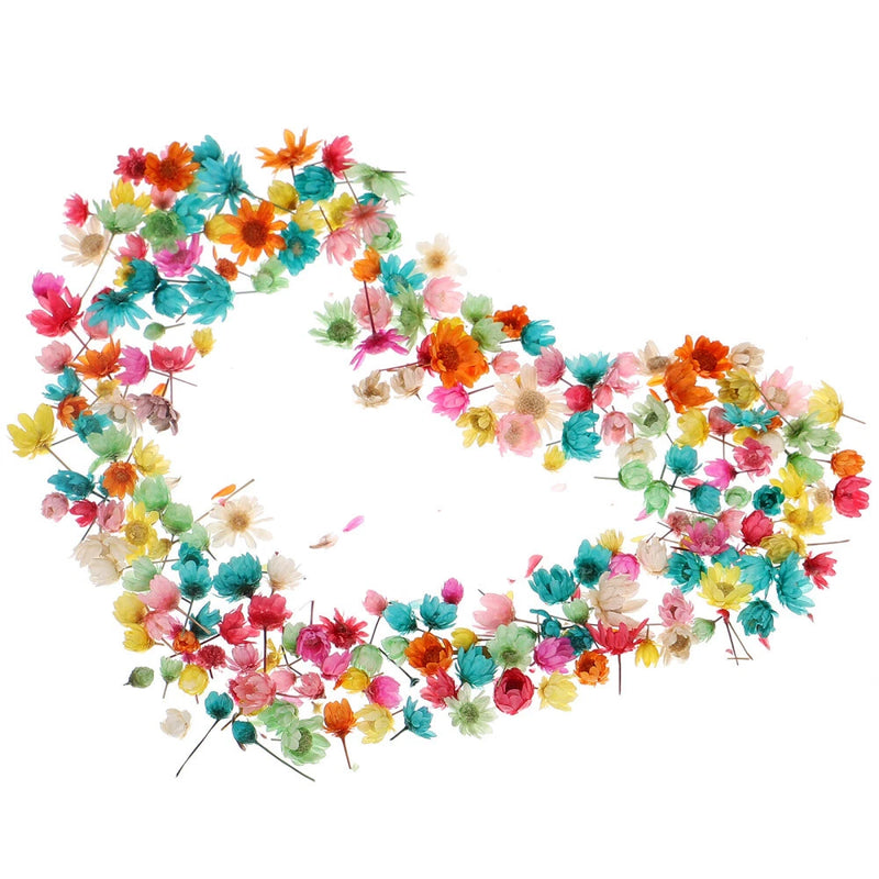 1 Bag Dried Flowers DIY Candle Supply Resin Mold Fillings Flowers Vase Decor Dried Flower