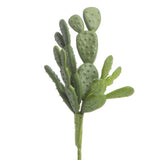 Set of 2 Artificial Beautertia Cactus Plant 7-3/4" Floral Picks Green Plant