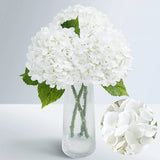 21" Real Touch White Hydrangea Artificial Flowers with Long Stem & Leaves Hydrangea