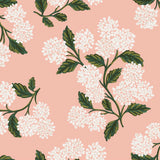 Rifle Paper Co, Rifle Paper Meadow Hydrangea Blush Background White Flower Fabri Hydrangea