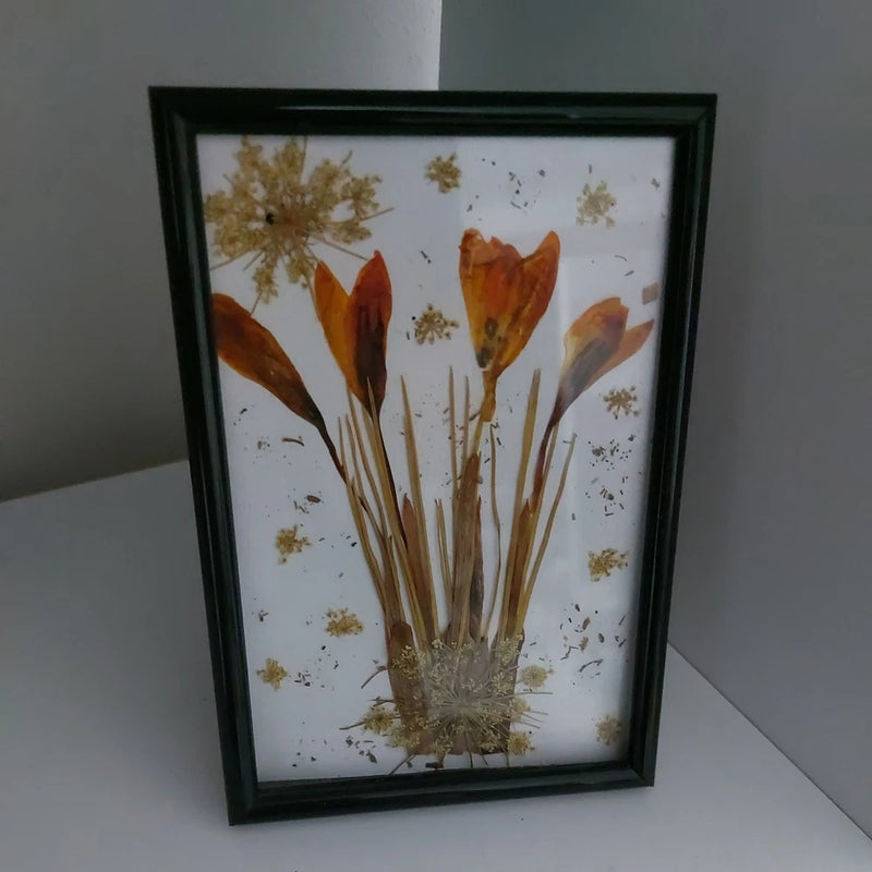 Framed pressed dried flower artwork with orange petals and small yellow blossoms